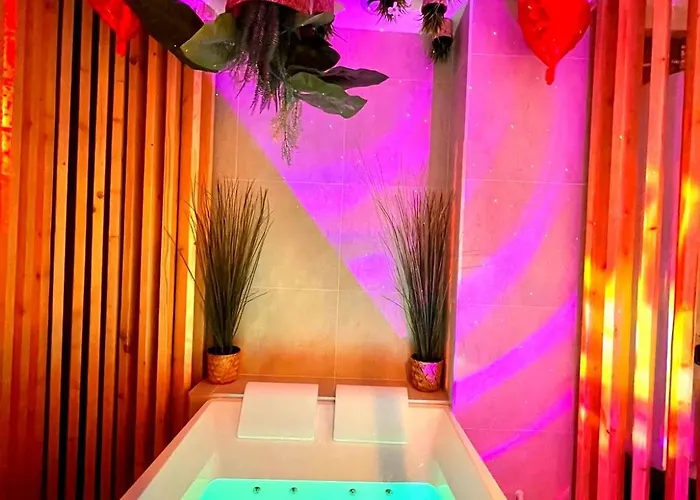 Apartment Sejour Insolite ,spa Privatif Troyes